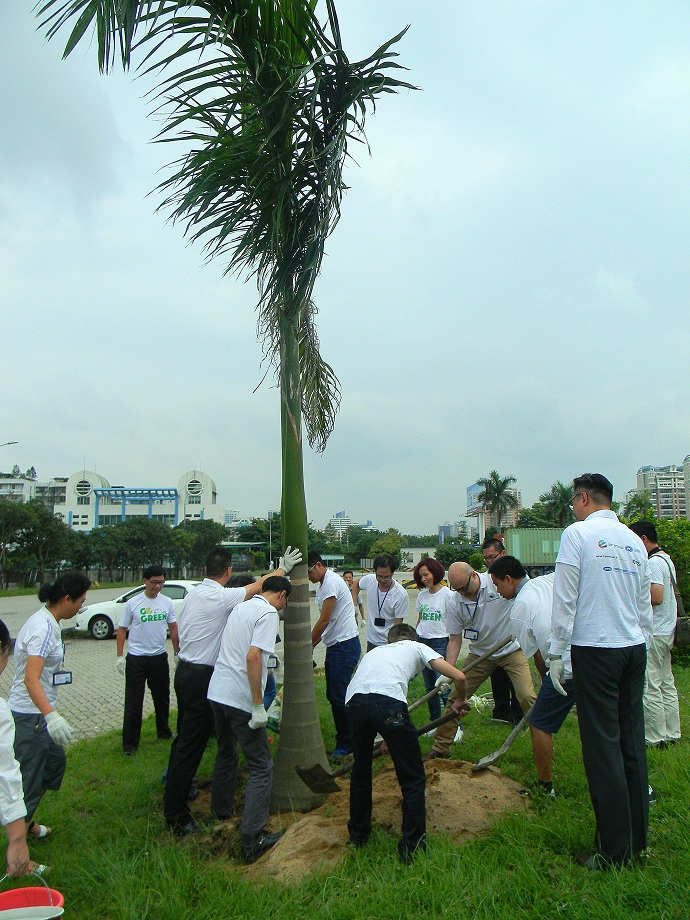 2016環(huán)保綠化